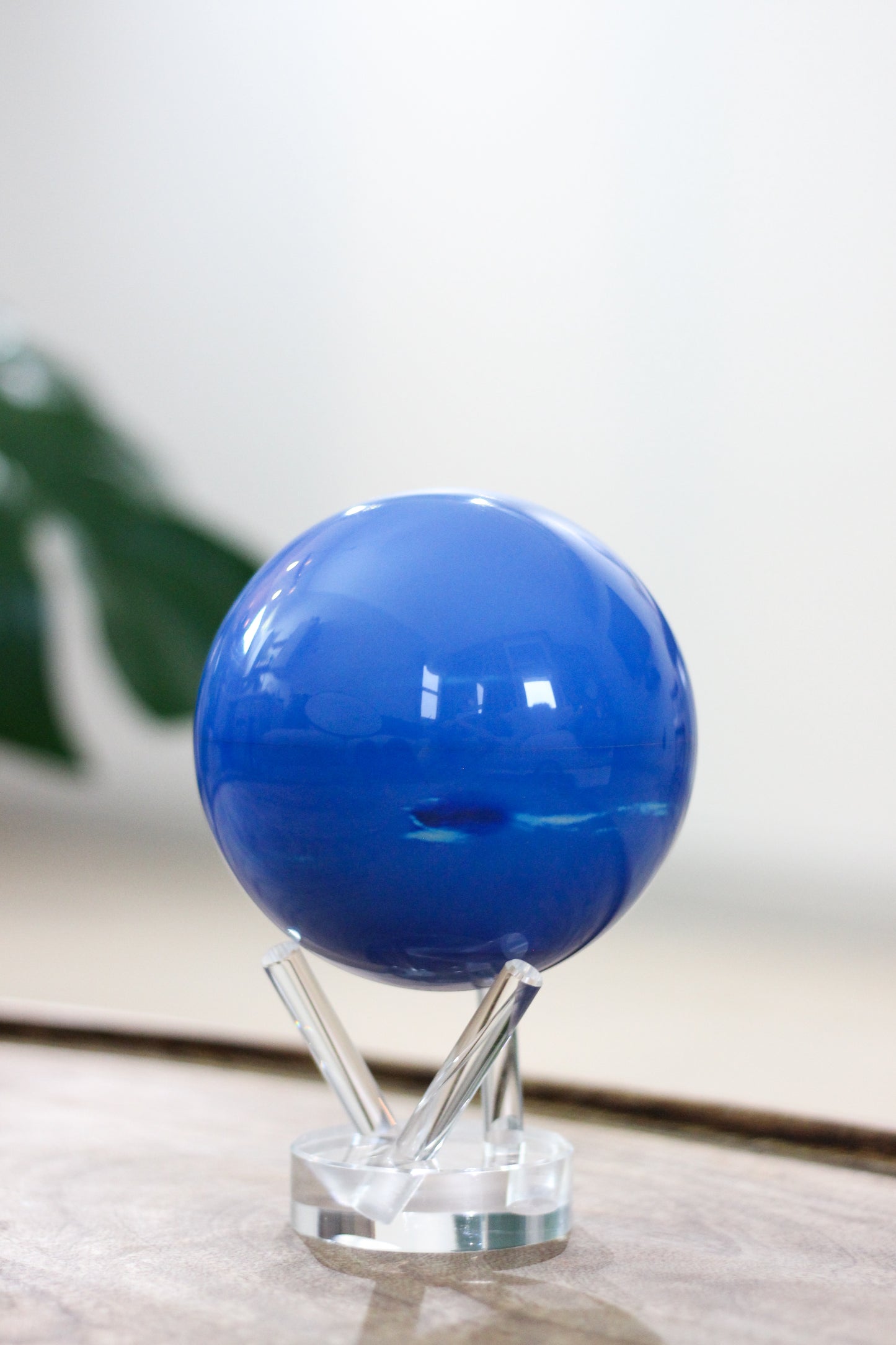 【COMING SOON】NEPTUNE
