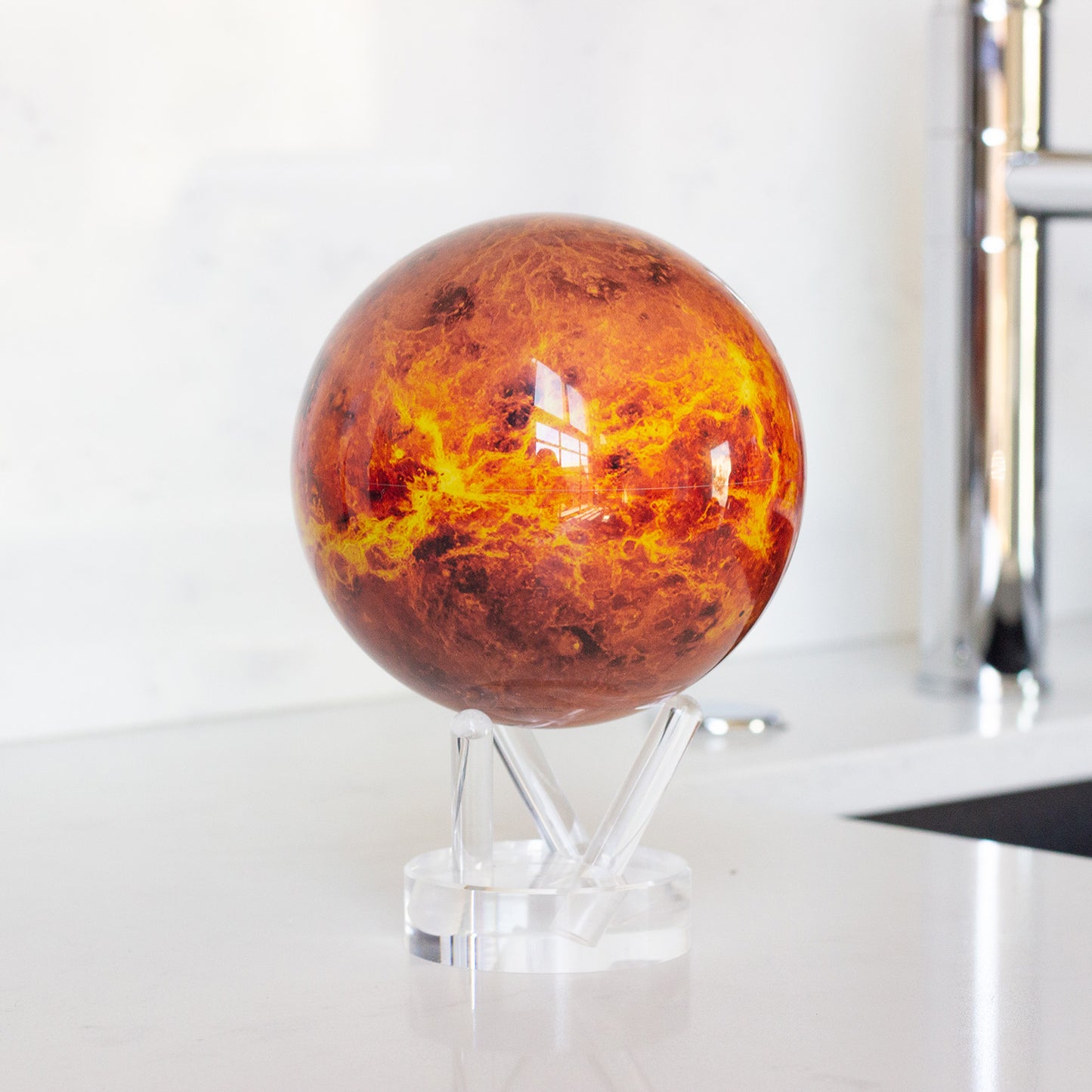 【COMING SOON】VENUS