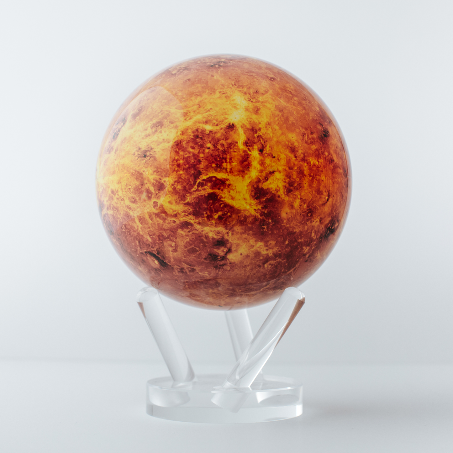 【COMING SOON】VENUS