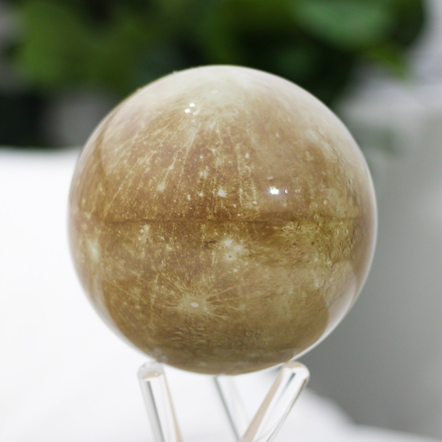 【COMING SOON】MERCURY