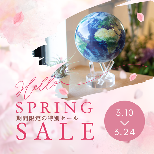 🌸スプリングセール開催中｜全商品20％OFF🌸