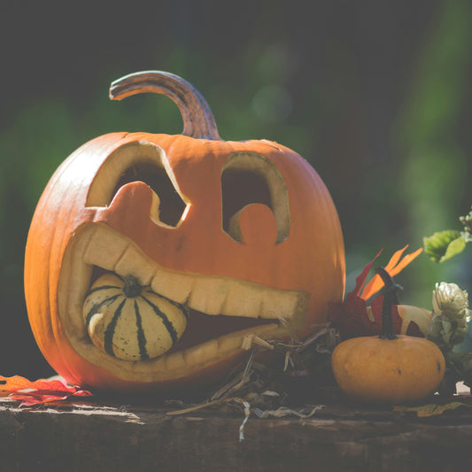 🎃✨ ハロウィンセール開催中 ✨🎃