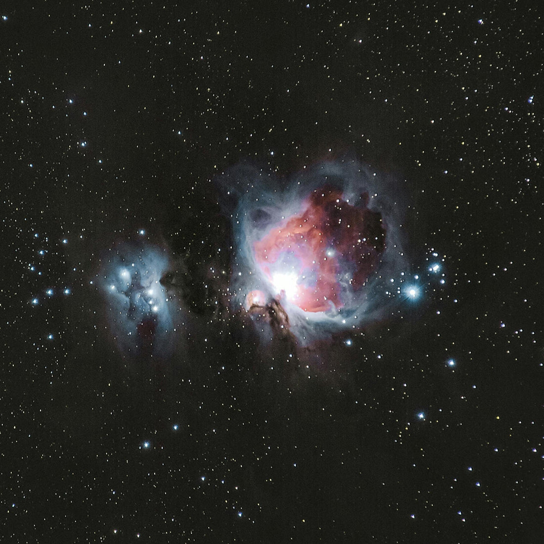 宇宙空間コレクションに新モデル登場！