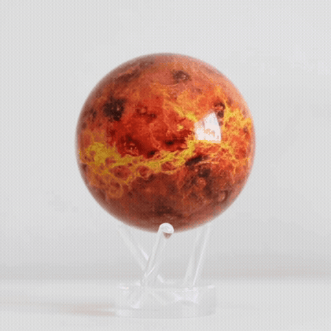 VENUS（金星）